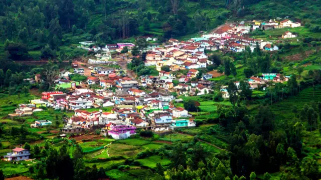 உதகையில் நாளை மலைப்பயிர் கண்காட்சி தொடக்கம்